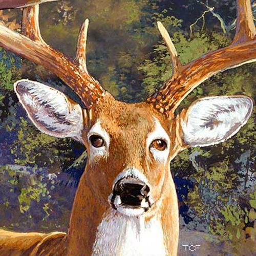 A Change of Scenery Deer Elk Flannel Panel